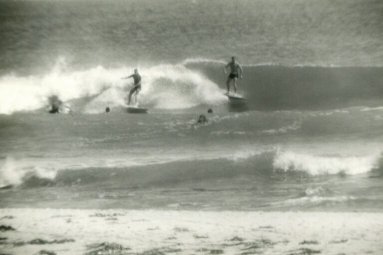 avalon tom collins USE